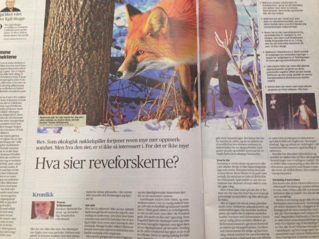 Reveforskeren_illustrasjon