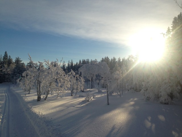 Hva motiverer deg til forskningsformidling? Tenk deg en visjon som gir deg retning og mening, Som kan fungere som dette fotoglimtet fra Nordmarka i slutten av januar 2015.