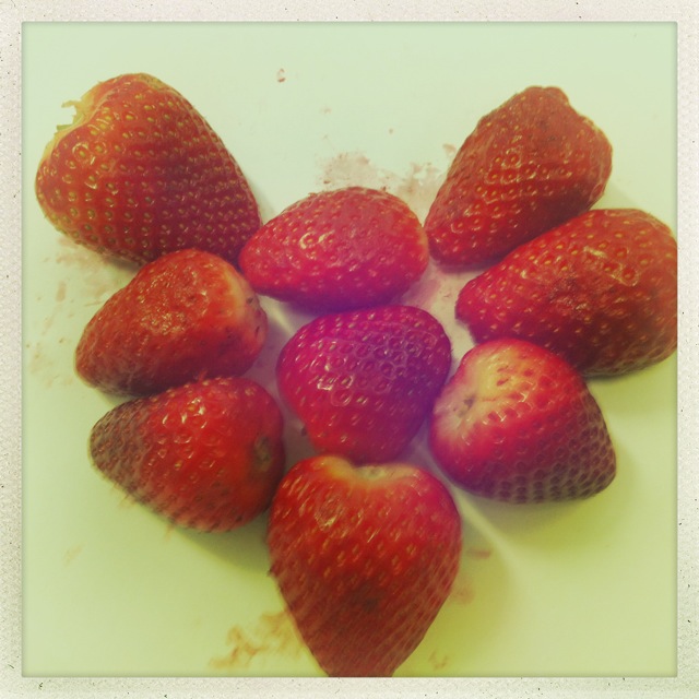 Slipp kunnskapen løs! Med engasjement og lidenskap. Suksessfaktor i kommunikasjon.