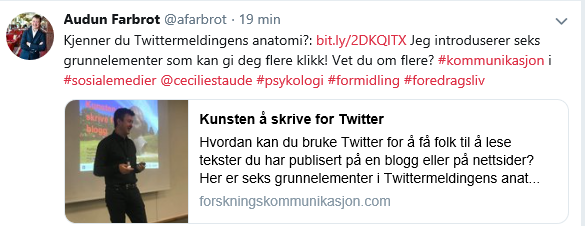 Twittermeldingens anatomi_skjermdump